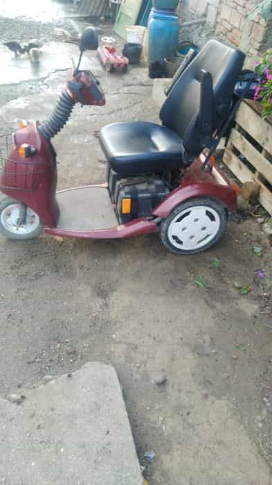 Carut electric de vinzare