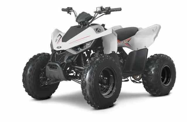 ATV Copii Linhai 110 EFI 2X4 2025 | Rate