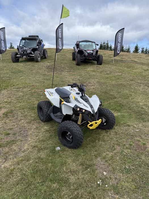 Atv copii Can Am Renegade 110