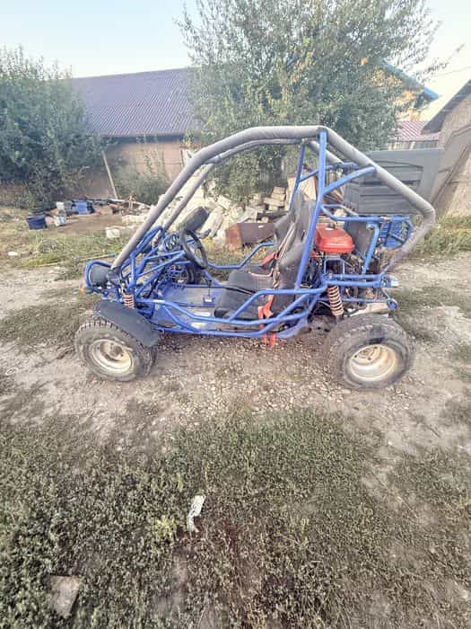buggy de vânzare