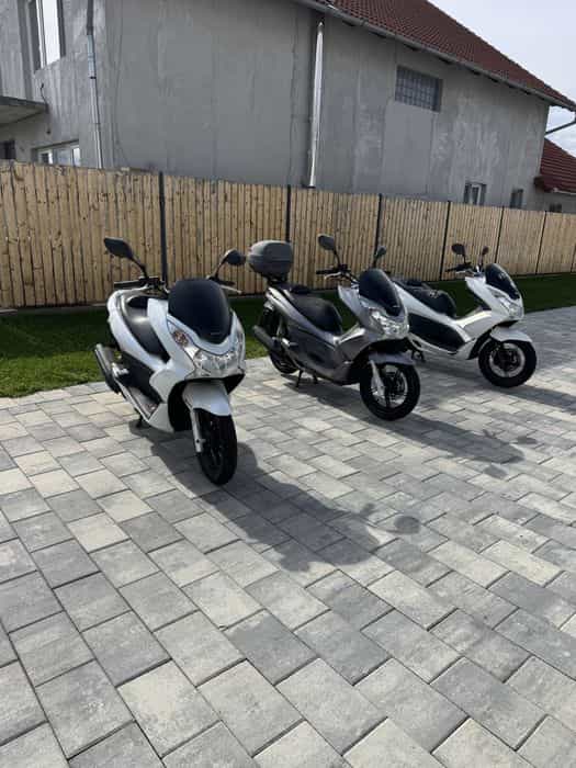 Honda pcx 125 categoria b