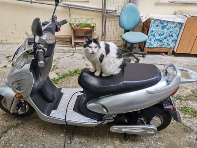 Scuter electric cu baterie defecta