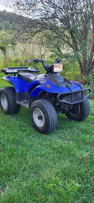 Atv e ton 2x4 cutie automată