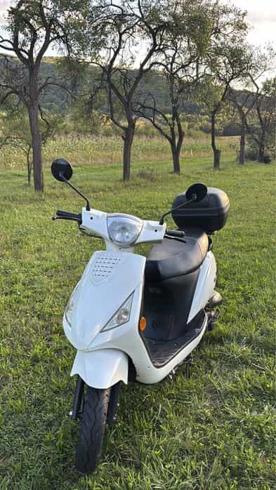 Vand scouter LA SOURIS