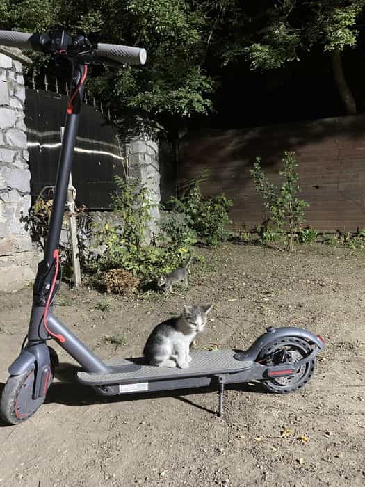 trotineta electrica m365 avopro 31km/h