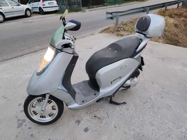 Nipponia, culoare gri