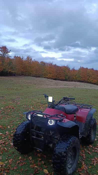 Vand sau schimb ATV ARTIC-CAT 350 cc