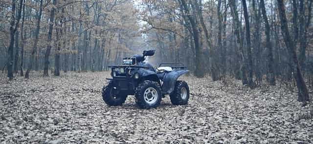 De vanzare linhai 300