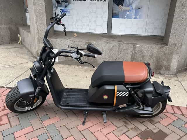 Scuter electric