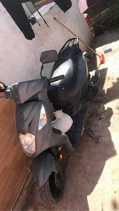 Vand scuter pretul este in euro 250 de euro