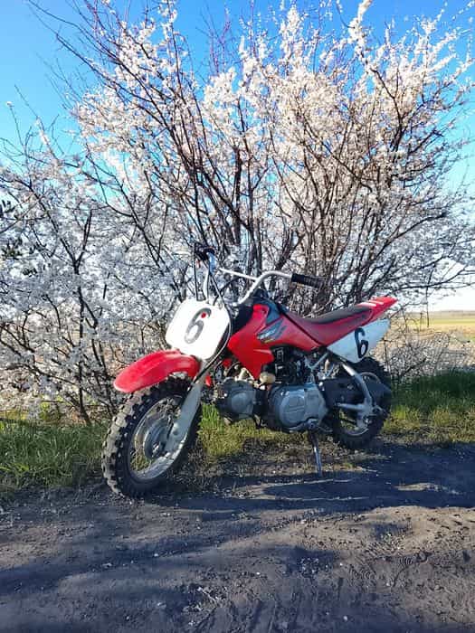 Honda crf 50 mini cross