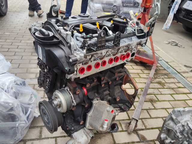 Silnik Nissan Navara