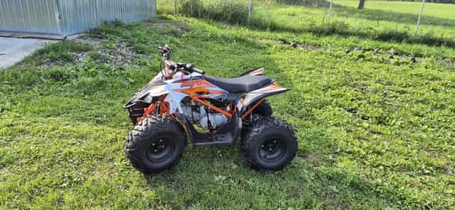 Sprzedam Qada  Kayo 3.3mth