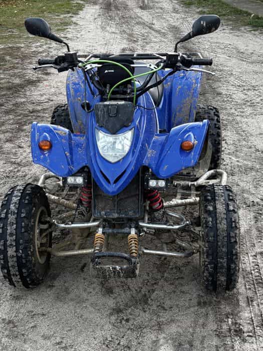 Kymco KXR 250 CCM