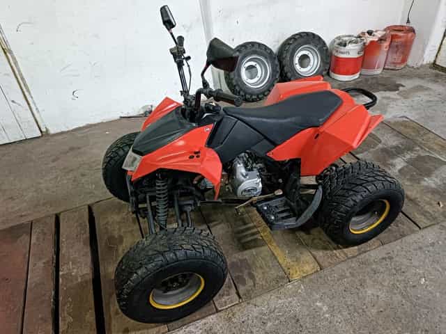 Egl 110 (quad Bashan loncin cross 125)