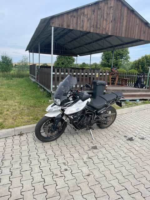 Triumph Tiger 800