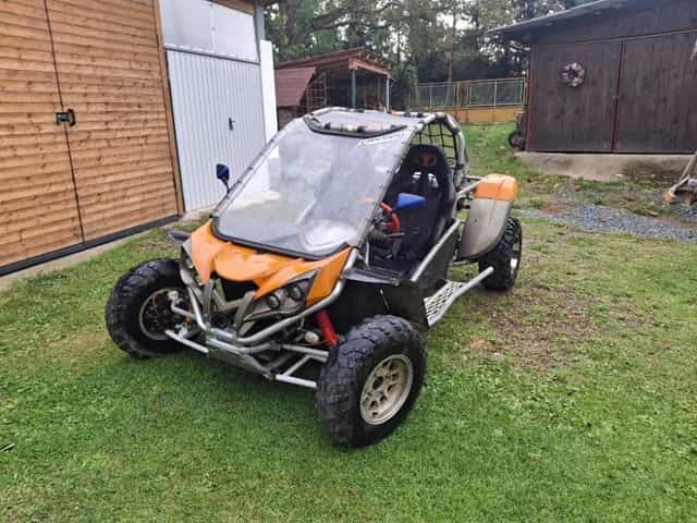 Buggy Renli 500 bugina