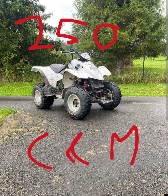 Koupím čtyřkolku 250