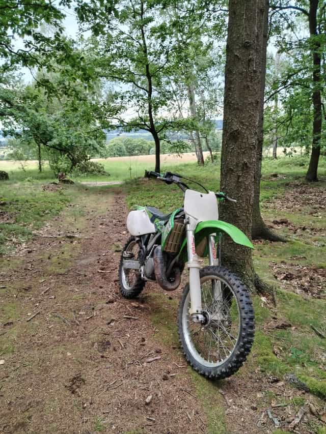 Kawasaki kx 125 rv 2001