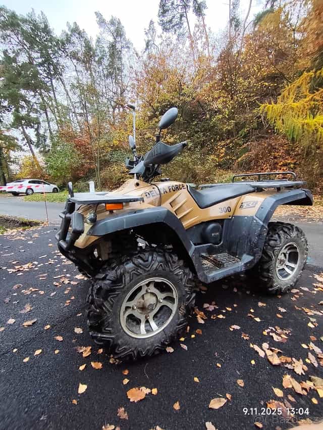 Buyang delta Force 300 - 4x4