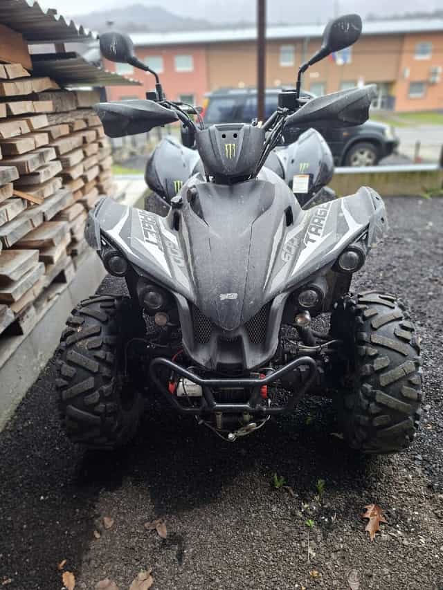 Ṣ̌tvorkolku - Taiwan Golden Bee - 4x4