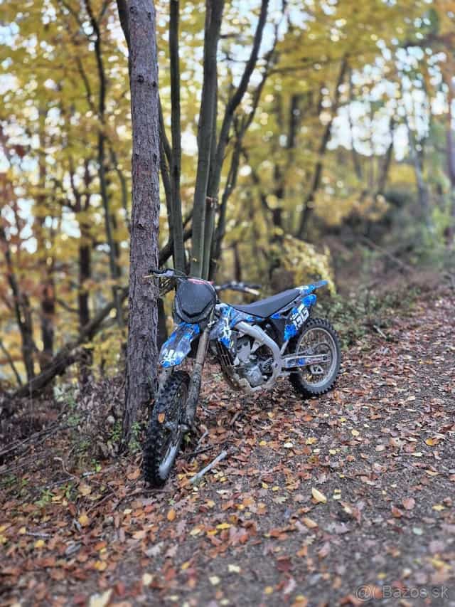 Suzuki RMZ 450