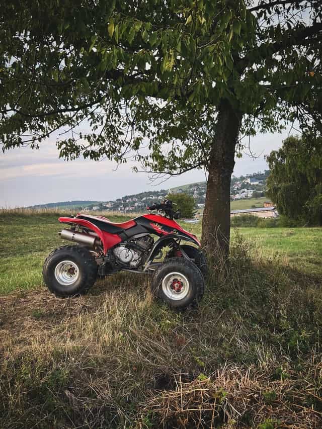 Honda TRX 300ex 2002