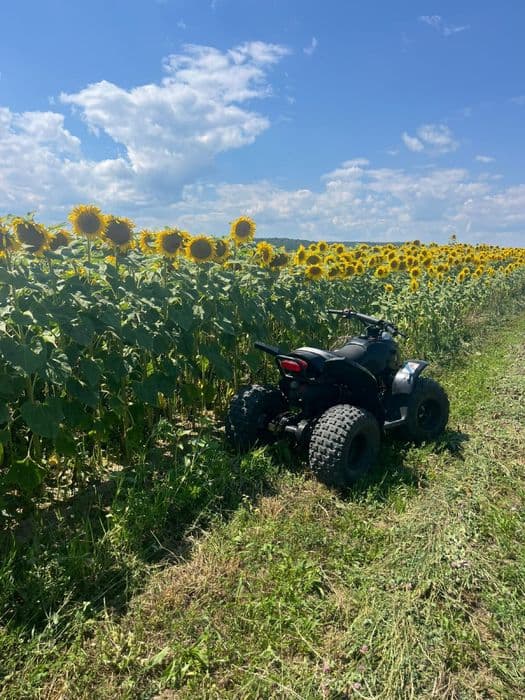 Vand atv 110cc 2 timpi
