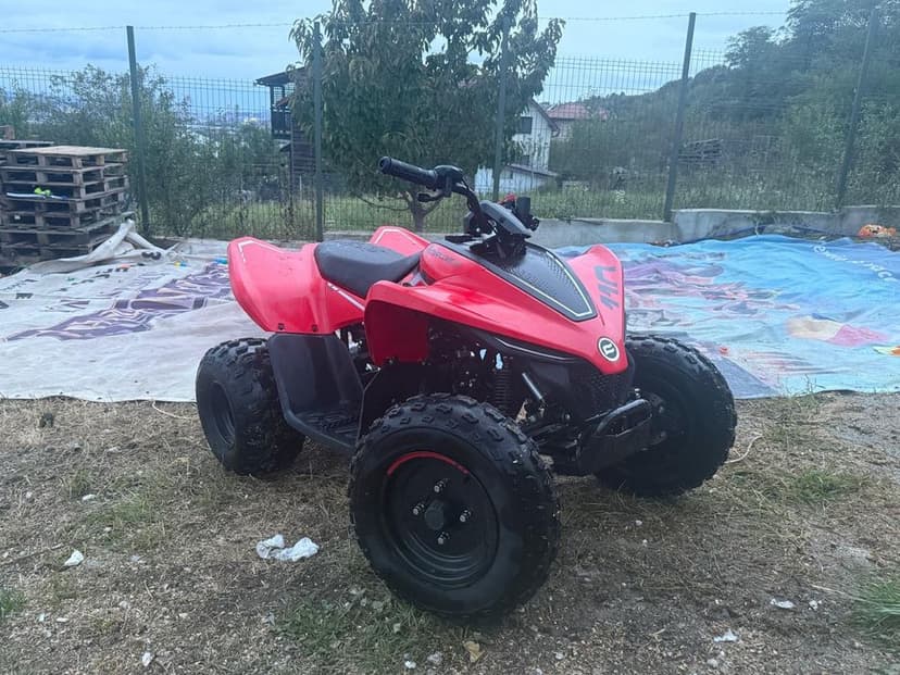 Atv Cf Moto 110 an 2025