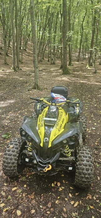 Vind prune bistie sau schimb cu cf 850xc.