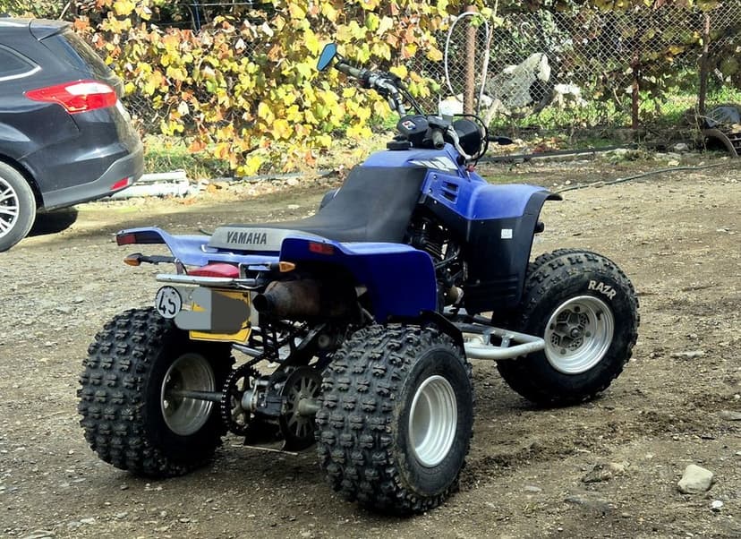 Atv /quad Yamaha Warrior 350