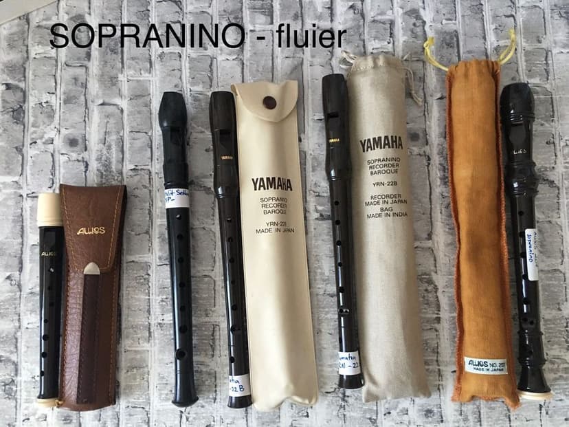 Fluiere - blockflote-recorder / sopranino, sopran, alto, tenor, bass