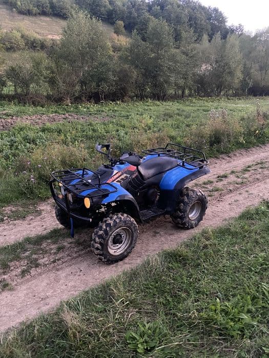 Vand schimb ATV Linhai 300 cu gip