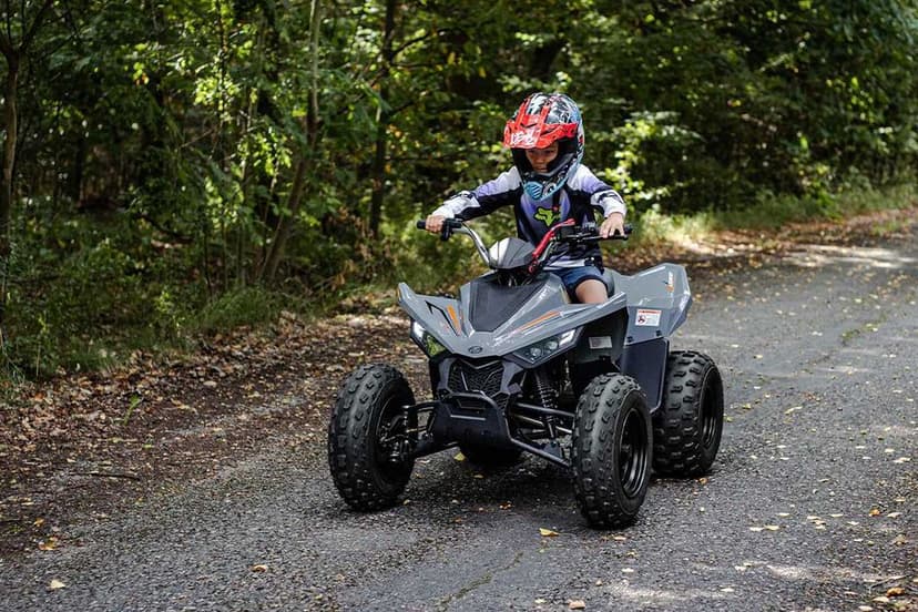 Atv copii LINHAI 110 nou 0 km - in stoc EST BIKE Campina