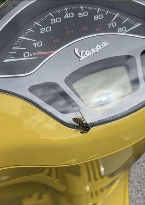 Vespa Sprint S 50 2020