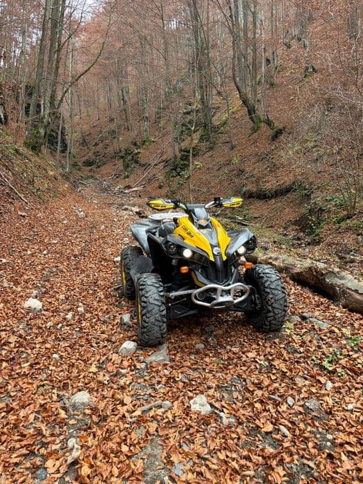 Vand can am renegade 800