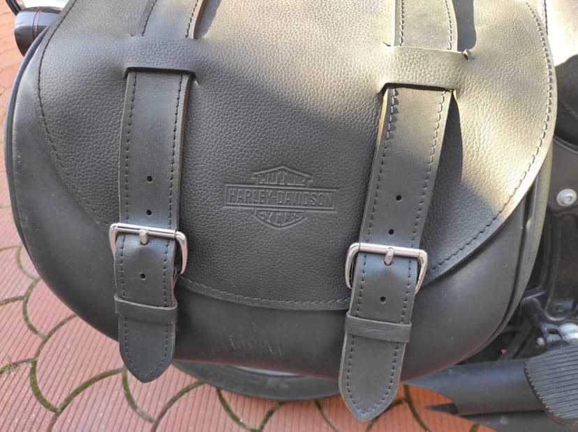 HARLEY DAVIDSON FLSTSB Softail Spinger CrossBones