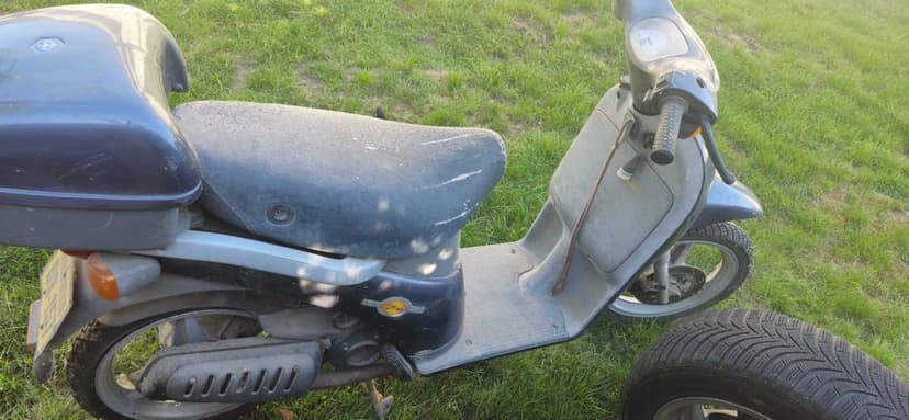 Piaggio free 2 tip 49cm.