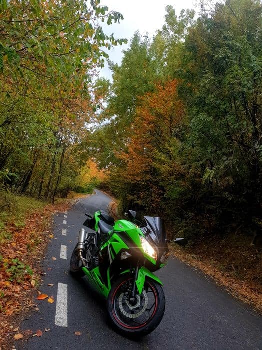 Kawasaki Ninja 300 ABS Special Edition