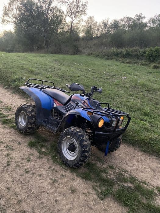 Vand schimb ATV Linhai 300 cu gip