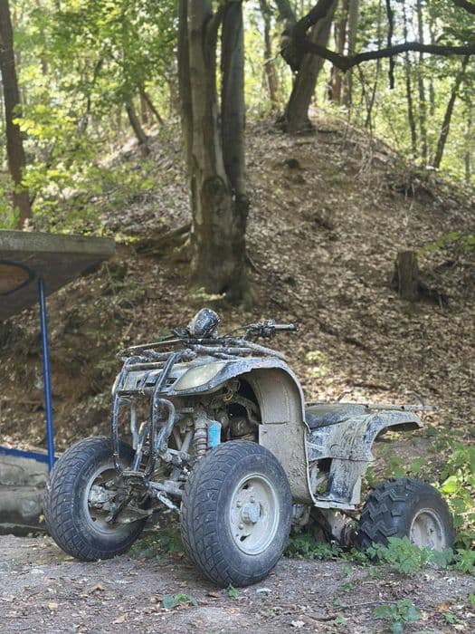 Vând atv bashan 250