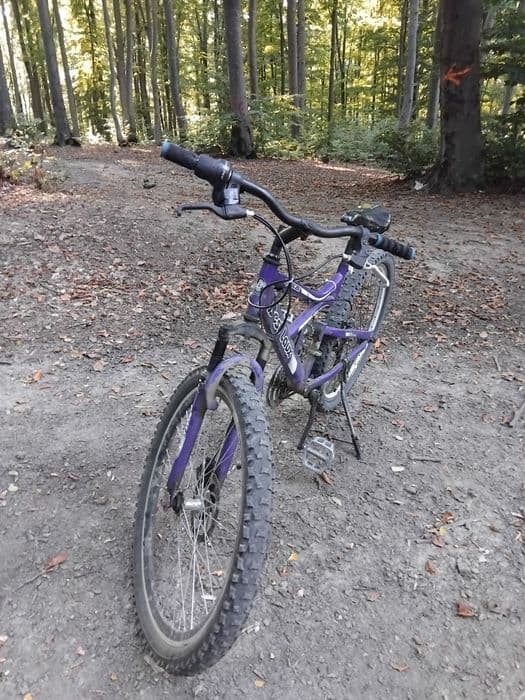 Vand sau schimb cu scuter       500 lei