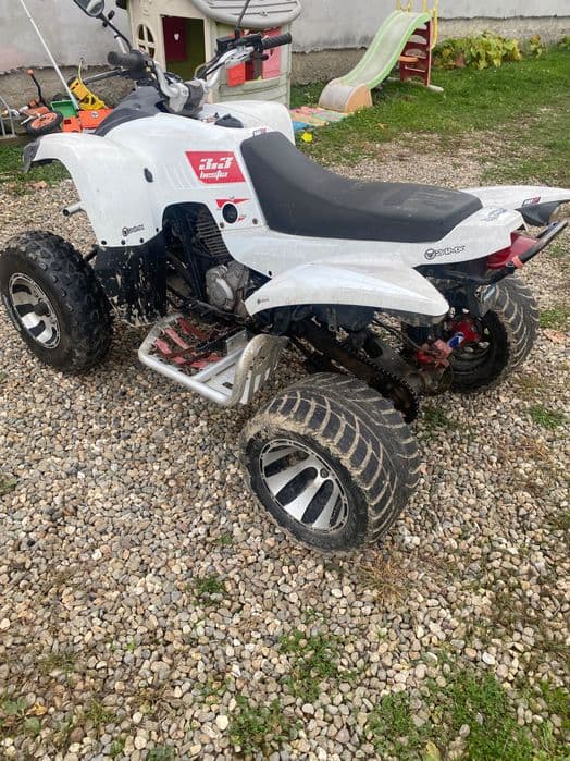 Quad Beline Bestia 3.3 an 2012