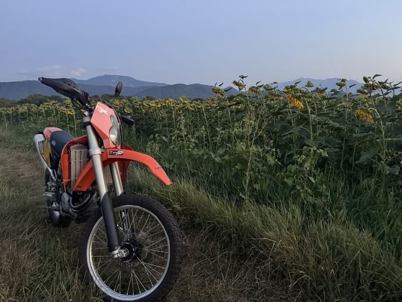 KTM 250 EXC (enduro)