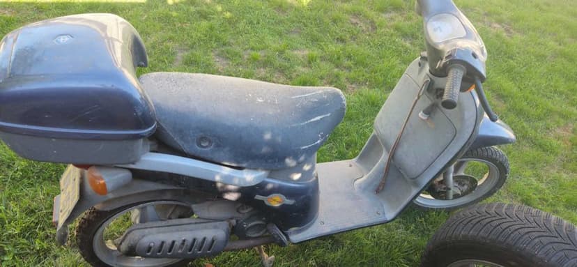 Piaggio free 2 tip 49cm.