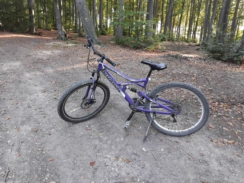 Vand sau schimb cu scuter       500 lei