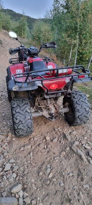 ATV Linhai 300 Worker, tractiune 2x4, an 2008