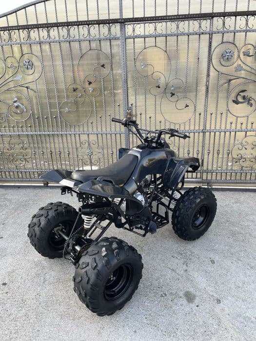 Atv 125 Renegade Pro Germany