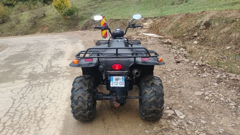 2 Linhai 300cc 2x4 recent aduse in țară