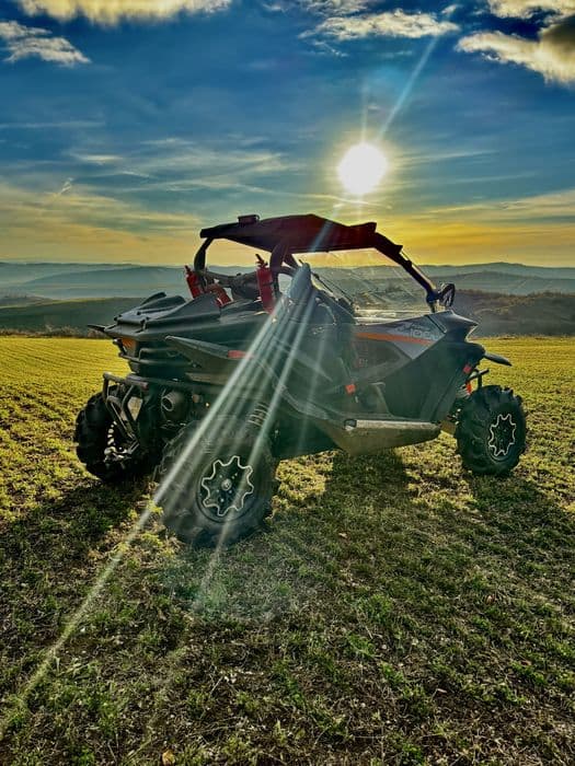 Buggy  Z Force  1000 delimitat dotat intretinut acte la zi